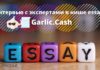 Интервью с экспертами в нише essay — Garlic.Cash garlic-cash-interview