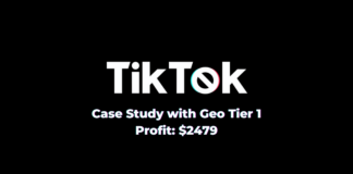 Кейс: 2479$ на Дейтинг Смартлинке iMonetizeit с TikTok Тик Ток кейс профит 2179$